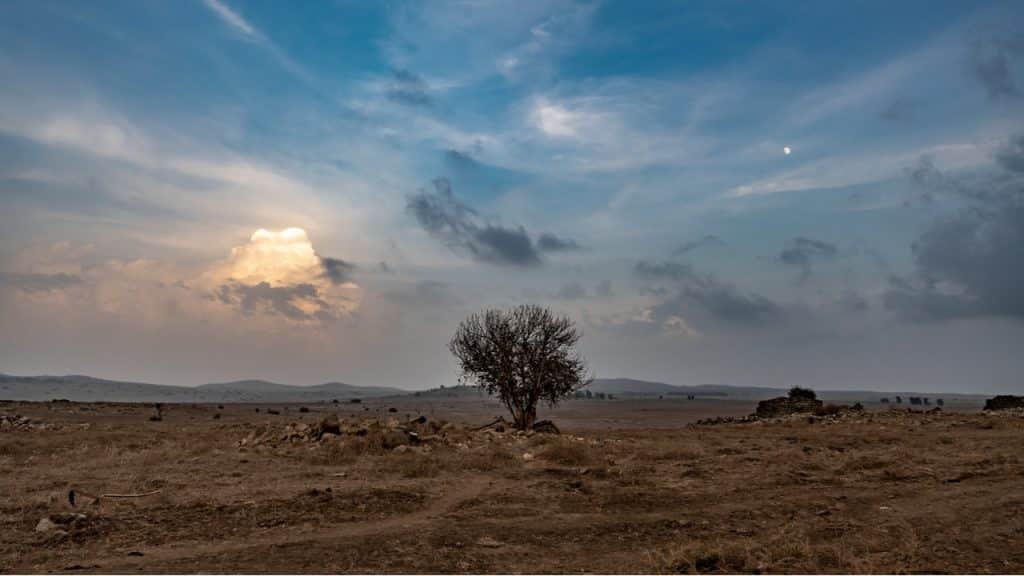 רמת הגולן ארץ הבזלת והיין המקום הכי מבוקש בקרב נופשי צימרים בצפון